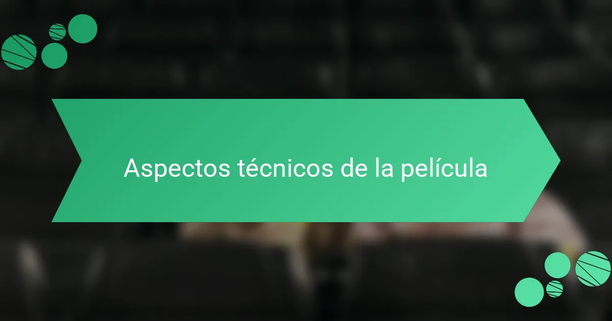 Aspectos técnicos de la película