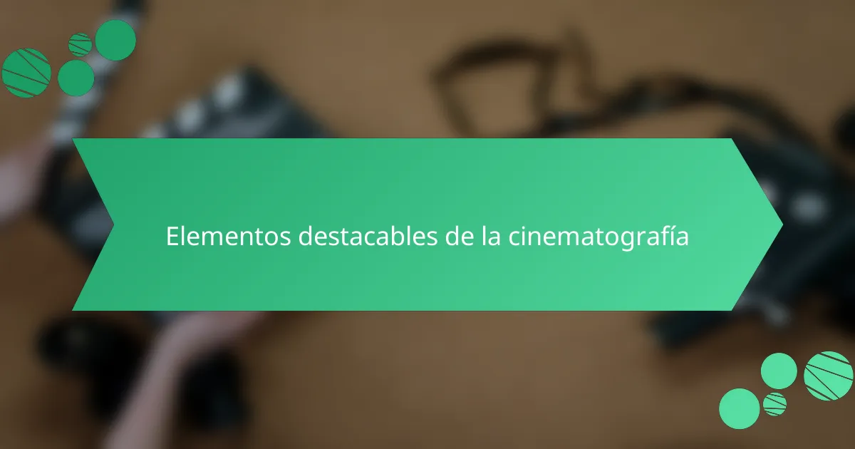 Elementos destacables de la cinematografía